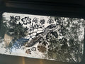 Sea Turtle Decal