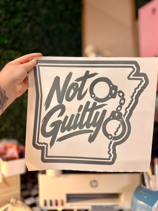 AR Not Guilty Decal